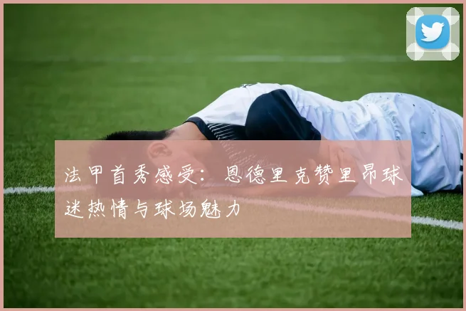 法甲首秀感受：恩德里克赞里昂球迷热情与球场魅力